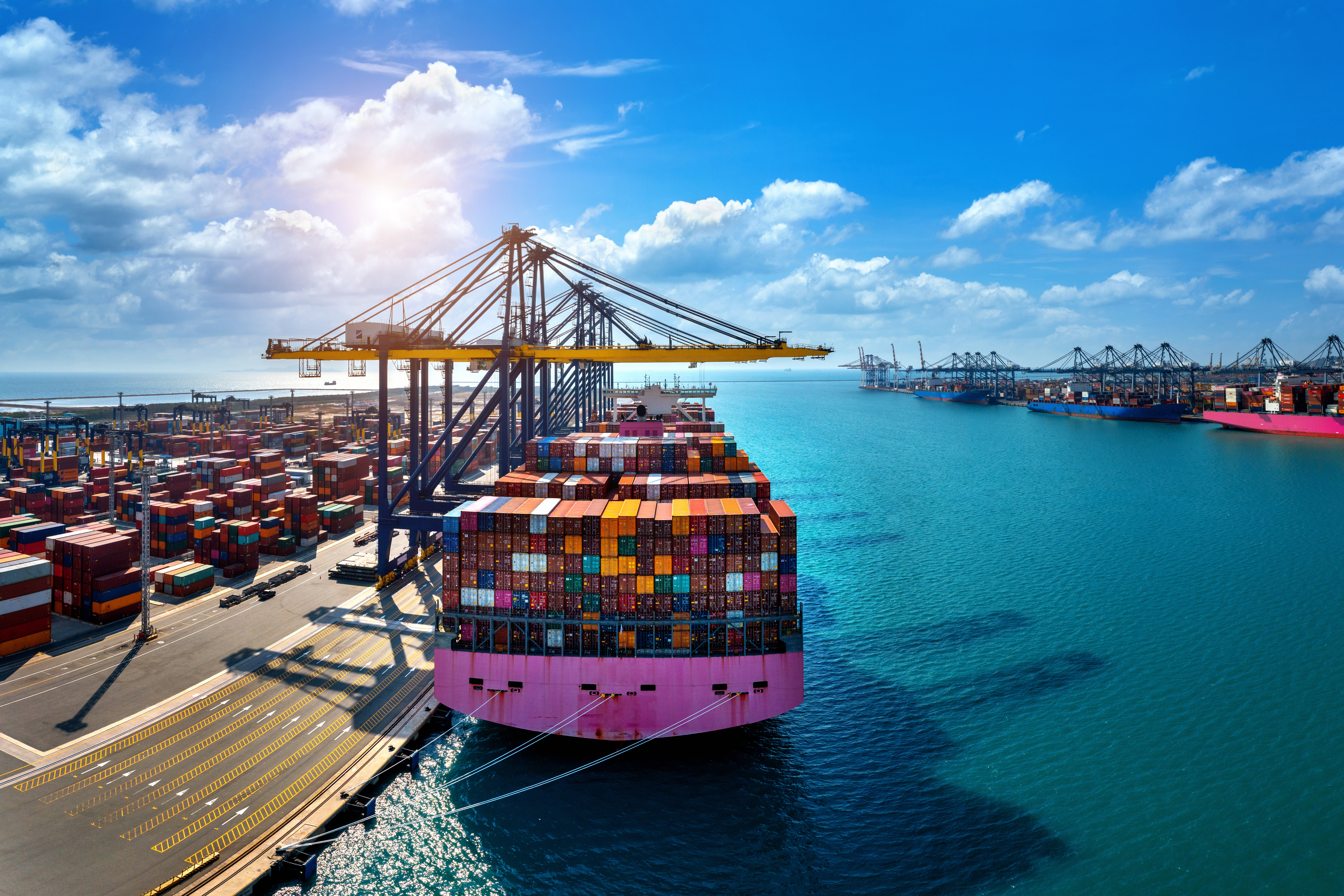 Sea freight container shipping